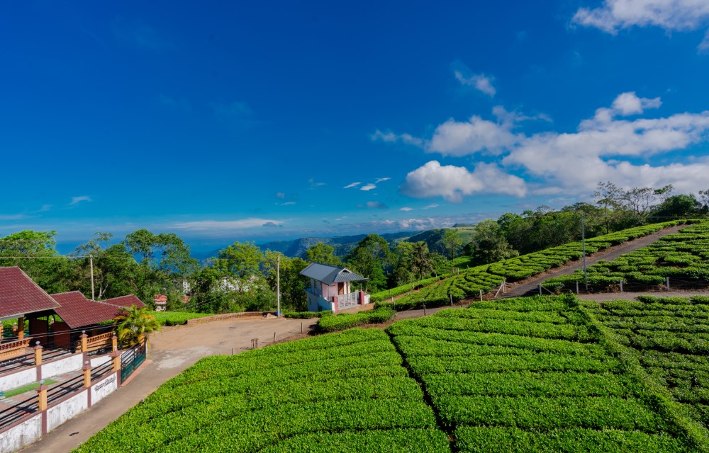 Vagamon Spings Slider 1